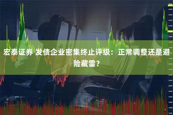 宏泰证券 发债企业密集终止评级：正常调整还是避险藏雷？