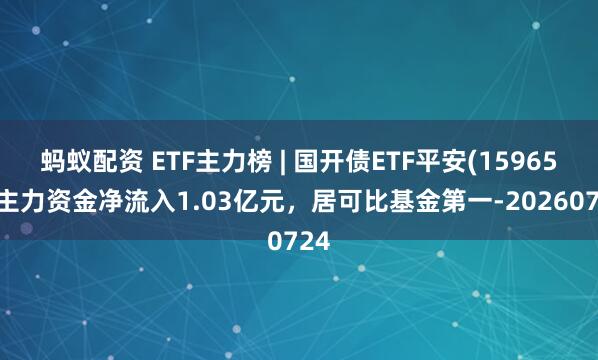 蚂蚁配资 ETF主力榜 | 国开债ETF平安(159651)主力资金净流入1.03亿元，居可比基金第一-20260724