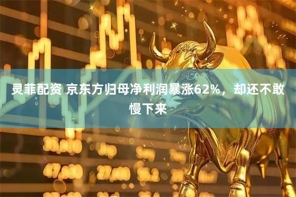 灵菲配资 京东方归母净利润暴涨62%，却还不敢慢下来